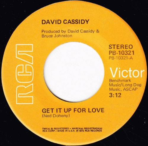 David Cassidy : Get It Up for Love